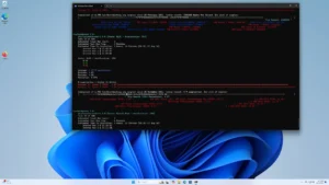 Windows 11 vs. Ubuntu 24.04 Linux Performance For The AMD Ryzen 9 9950X Review